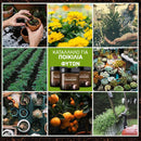 NutriBoost™ | Από το χώμα στη λαμπρότητα, ενεργοποιήστε τον κήπο σας